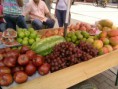 /album/evidencias-fotogaleria/contaminacion-46-jpg1/